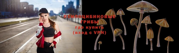 MESCALINE Баксан