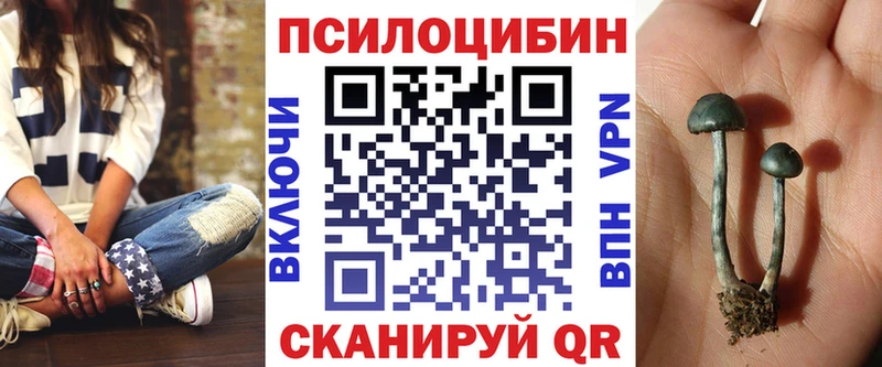 Псилоцибиновые грибы Cubensis  Сатка 